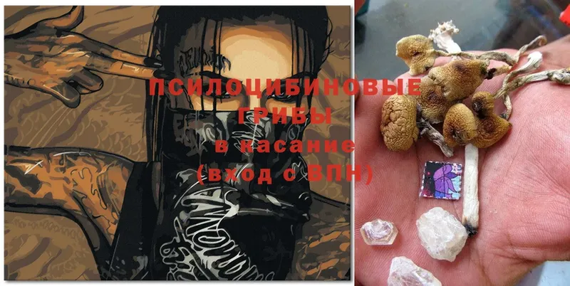 Псилоцибиновые грибы MAGIC MUSHROOMS  Вуктыл 